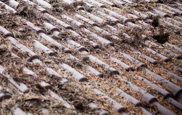 Scotstown roof cleaning companies